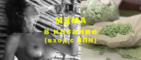 индика Богданович